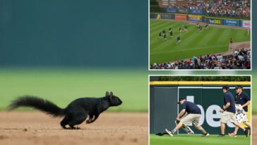 squirrel-invades-tigers-orioles-game-—-and-grounds-crew-is-powerless-to-stop-it
