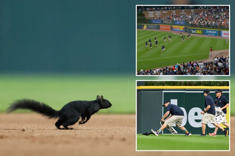 squirrel-invades-tigers-orioles-game-—-and-grounds-crew-is-powerless-to-stop-it