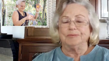 83-year-old-wins-settlement-after-honolulu-slapped-her-with-$590k-fine-over-website-glitch
