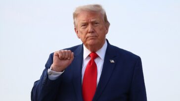 liz-peek:-trump-is-starving-the-machine-that-creates-america’s-socialist-revolutionaries