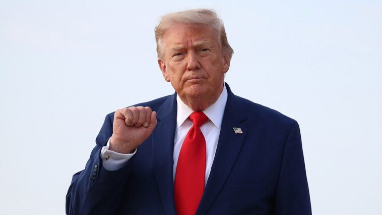 liz-peek:-trump-is-starving-the-machine-that-creates-america’s-socialist-revolutionaries