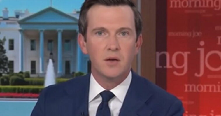 msnow-reporter-says-trump-just-doesn’t-understand-that-‘journalism-is-a-form-of-patriotism’-(video)