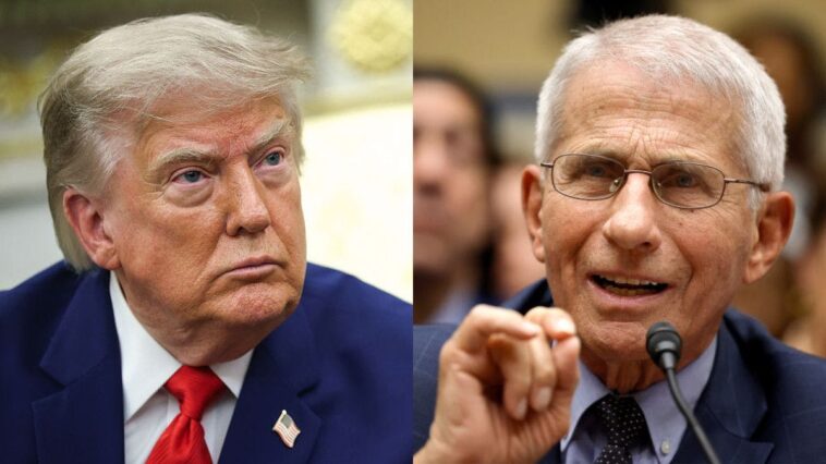 trump-unloads-on-fauci-after-diary-revelations,-then-reveals-‘god’-theory