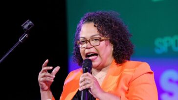 dems-fight-for-fraud-with-the-‘stop-nick-shirley-act’