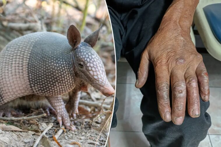 a-biblical-disease-is-back-with-a-vengeance-in-florida-—-experts-warn-which-animal-is-to-blame