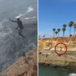 horrifying-new-footage-shows-moment-teen-jumped-off-famed-california-cliffs-–-making-a-crunching-sound-as-he-smashed-rocks