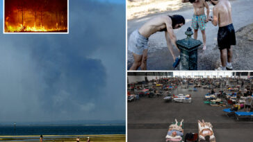 fourth-major-heatwave-expected-to-hit-france-as-crews-battle-massive-bordeaux-wildfire