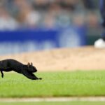a-squirrel-invades-mlb-game,-jumps-into-outfielders-glove-and-causes-chaos-in-hilarious-scene