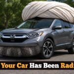 8-signs-your-car-might-have-been-radicalized
