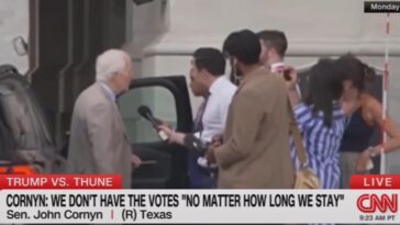 rino-cornyn-whines-about-push-to-cancel-august-recess-over-save-america-act,-attacks-blanche-(video)
