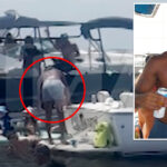 new-footage-confirms-nolan-wells-wasn’t-on-towed-boat-during-ill-fated-july-4th-trip