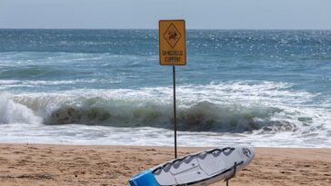 trump-to-honor-16-year-old-lifeguard-after-heroic-rescue-goes-viral