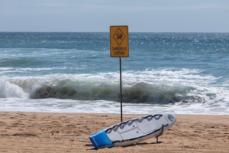 trump-to-honor-16-year-old-lifeguard-after-heroic-rescue-goes-viral