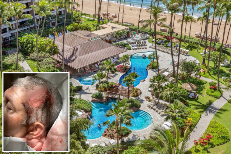 3-teen-boys-arrested-in-bloody-‘anti-white’-attack-on-california-family-at-exclusive-hawaii-resort