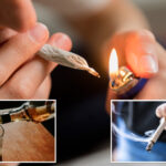more-americans-now-use-weed-every-day-than-drink-or-smoke-cigarettes