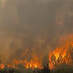deadly-french-wildfires-threaten-missile-plants,-nuclear-sites-as-fourth-heatwave-looms