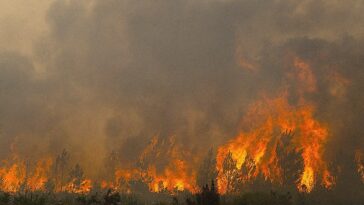 deadly-french-wildfires-threaten-missile-plants,-nuclear-sites-as-fourth-heatwave-looms