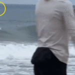 shark-week-shocker-as-great-white-breaches-just-yards-from-oblivious-boogie-boarder