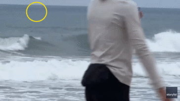 shark-week-shocker-as-great-white-breaches-just-yards-from-oblivious-boogie-boarder