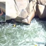 heart-pounding-moment-woman-rescued-from-socal-river-after-falling-into-raging-rapid