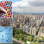 sixth-person-dies-in-nyc-legionnaires’-disease-outbreak
