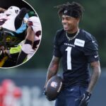 tank-dell-cleared-for-texans-return-after-losing-2025-season-to-knee-injury-horror