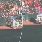 minor-league-mascot-goes-viral-after-bowling-over-alek-thomas-on-scooter