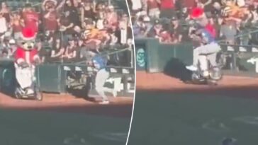 minor-league-mascot-goes-viral-after-bowling-over-alek-thomas-on-scooter
