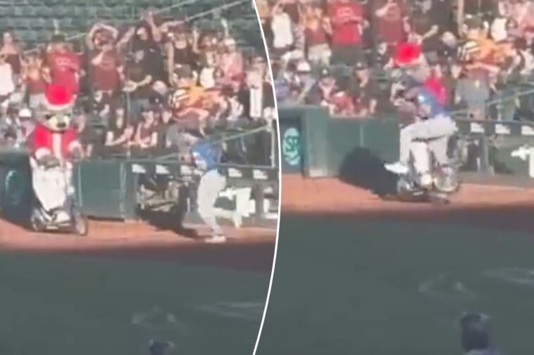minor-league-mascot-goes-viral-after-bowling-over-alek-thomas-on-scooter