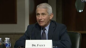 watch-live:-dr.-tony-fauci-to-testify-before-us-senate-homeland-security-governmental-affairs-committee-at-8:30-et