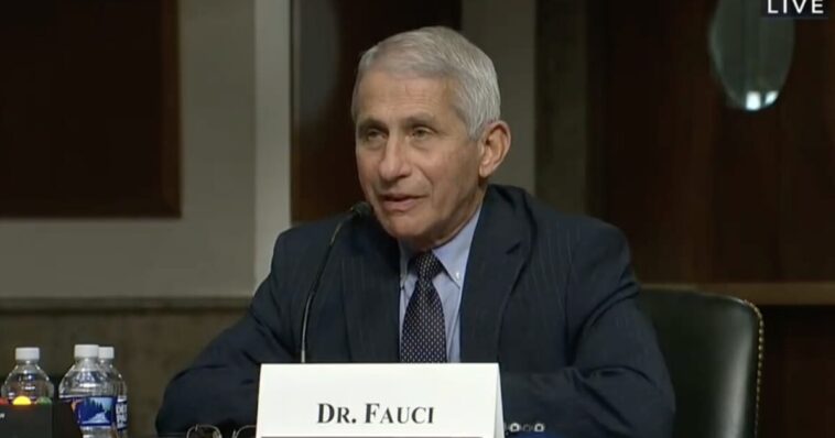 watch-live:-dr.-tony-fauci-to-testify-before-us-senate-homeland-security-governmental-affairs-committee-at-8:30-et