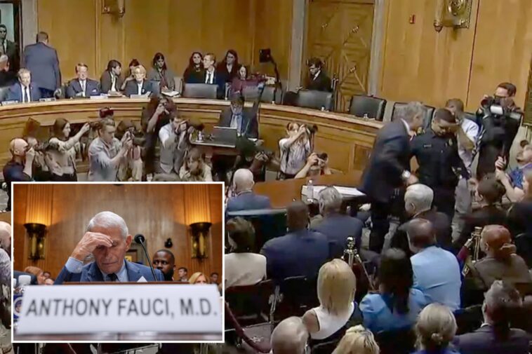 sen.-rand-paul-has-fauci’s-attorney-thrown-out-of-hearing