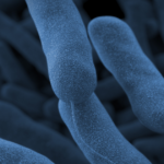 sixth-person-dies-from-legionnaires’-disease-in-mamdani’s-new-york-city-—-90-cases-identified-and-59-cooling-towers-found-with-live-bacteria