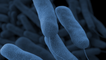 sixth-person-dies-from-legionnaires’-disease-in-mamdani’s-new-york-city-—-90-cases-identified-and-59-cooling-towers-found-with-live-bacteria
