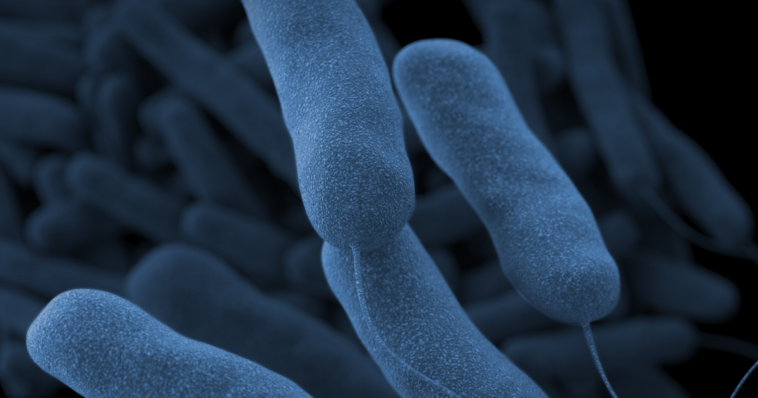 sixth-person-dies-from-legionnaires’-disease-in-mamdani’s-new-york-city-—-90-cases-identified-and-59-cooling-towers-found-with-live-bacteria
