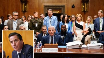 gop-sen.-bernie-moreno-goes-off-on-fauci:-‘who-the-f–k-do-you-think-you-were?’