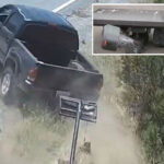 vigilantes-terrified-of-draconian-new-surveillance-network-spying-on-californians-go-on-wild-rampage