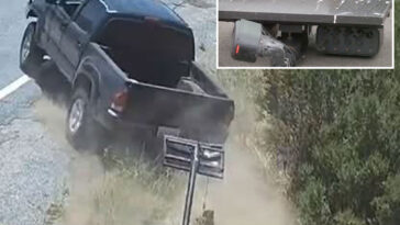 vigilantes-terrified-of-draconian-new-surveillance-network-spying-on-californians-go-on-wild-rampage
