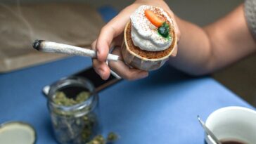 cannabis-cafes-may-become-tourist-draw-in-us-city-as-lung-experts-cite-‘toxic-chemical’-concerns