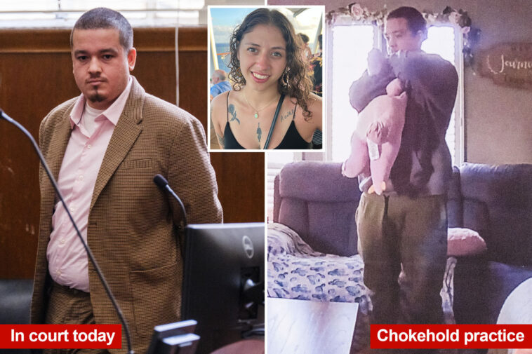 long-island-music-teacher-planned-sister-in-law’s-murder-for-years-—-and-even-practiced-deadly-chokehold:-prosecutors