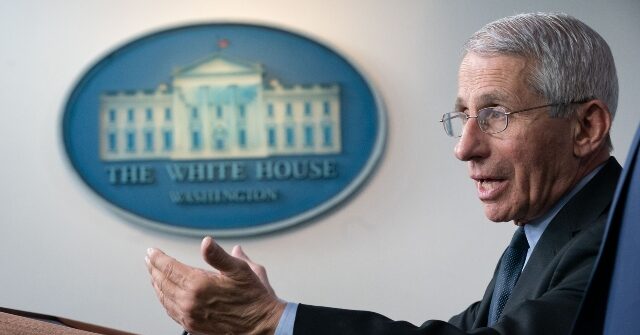 watch-live:-anthony-fauci-testifies-before-the-senate