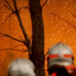 nine-in-ten-‘wildfires’-started-by-human-hands,-french-government-admits