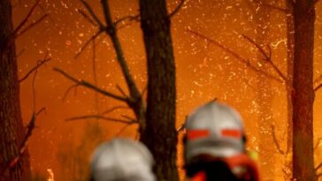 nine-in-ten-‘wildfires’-started-by-human-hands,-french-government-admits