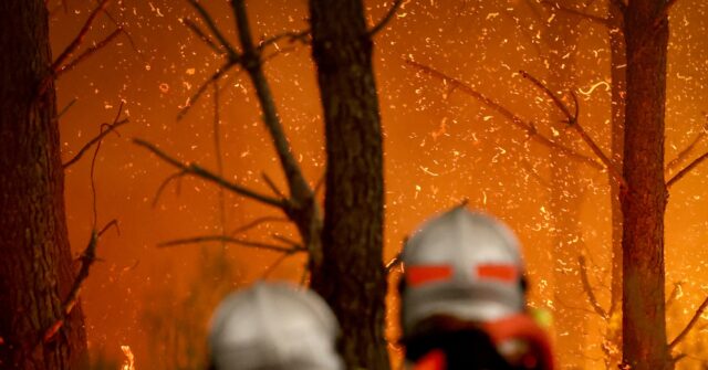 nine-in-ten-‘wildfires’-started-by-human-hands,-french-government-admits