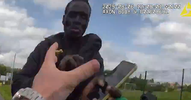 sudanese-asylum-seeker-jailed-after-taking-axe,-petrol,-to-uk-school