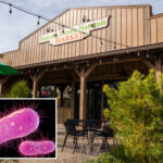 swanky-california-market-linked-to-dangerous-bacterial-outbreak-across-the-state