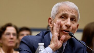 hawley-trolls-fauci’s-blanket-fifth-amendment-claims-exposing-‘contempt-for-this-body’