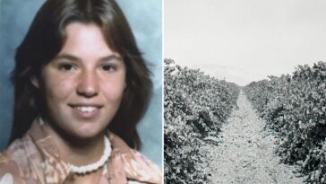 teen-murder-victim-found-in-california-vineyard-identified-48-years-later