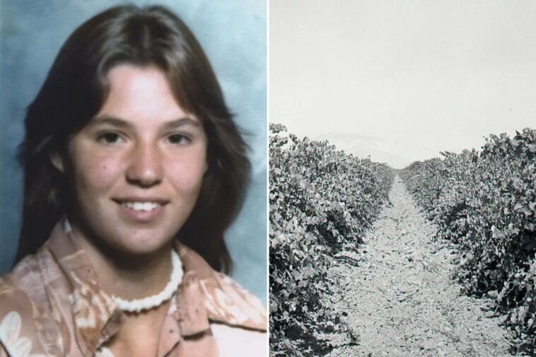 teen-murder-victim-found-in-california-vineyard-identified-48-years-later