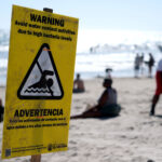 what-us-states-have-seen-flesh-eating-bacteria-cases-this-year?